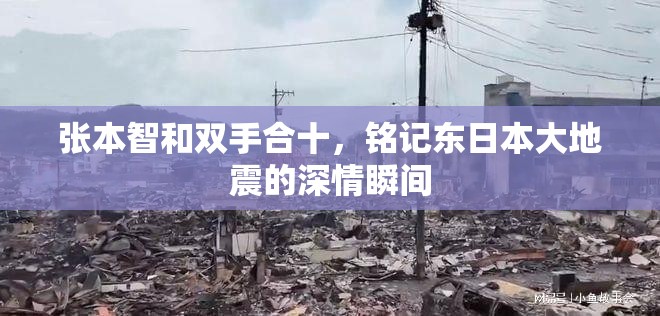 张本智和双手合十，铭记东日本大地震的深情瞬间