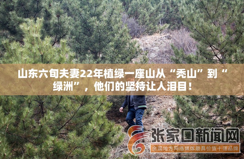 山东六旬夫妻22年植绿一座山