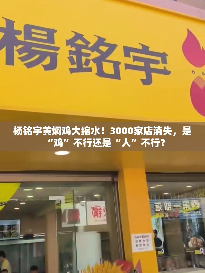 杨铭宇黄焖鸡较巅峰期缩水3000家店