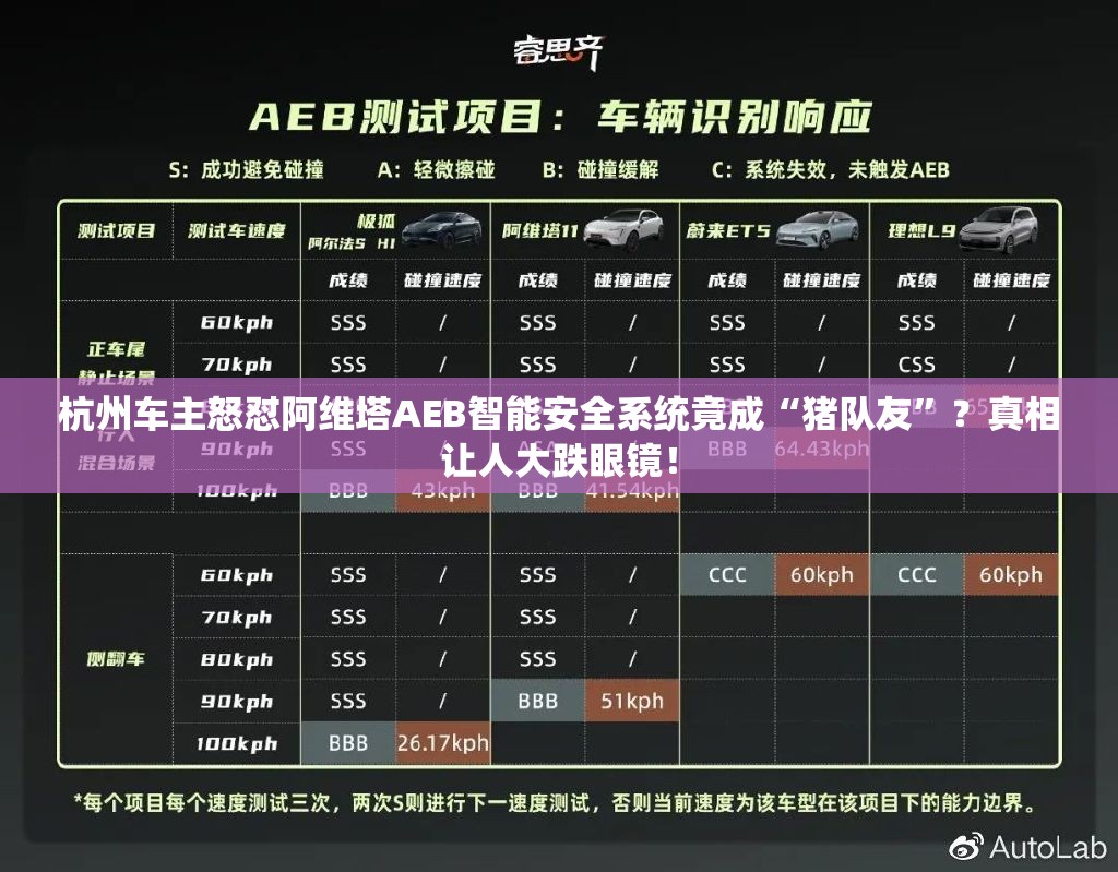 杭州车主质疑阿维塔AEB或成猪队友