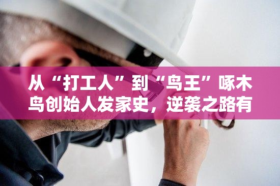 从“打工人”到“鸟王”啄木鸟创始人发家史，逆袭之路有多野？