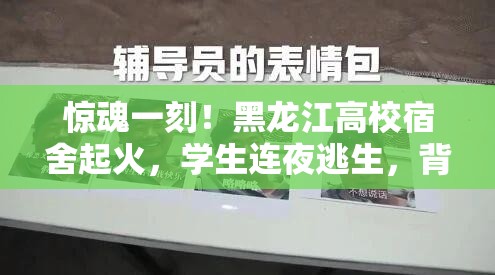 惊魂一刻！黑龙江高校宿舍起火，学生连夜逃生，背后真相令人震惊！