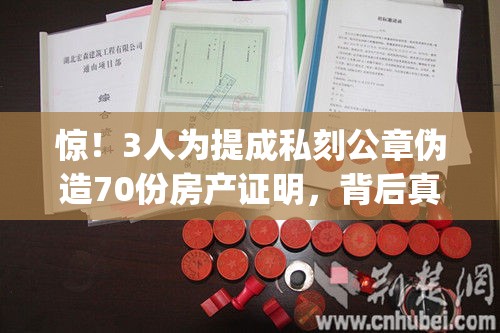 惊！3人为提成私刻公章伪造70份房产证明，背后真相让人直呼"离谱"！